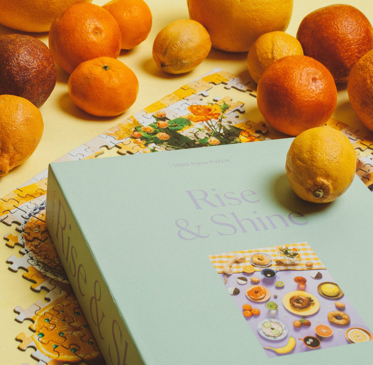 Puzzle de 1000 pièces Rise and Shine - Piecework - The Cool Republic