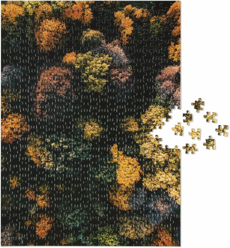 Puzzle trees 500 pièces - Printworks - The Cool Republic