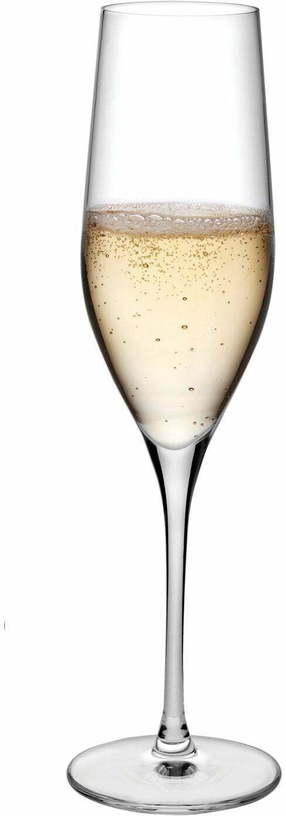 Set de 2 verres à Champagne 245 cc Vinifera - Nude Glass - The Cool Republic