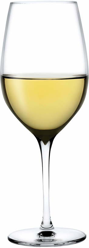 Set de 2 verres polyvalents Terroir - Nude Glass - The Cool Republic