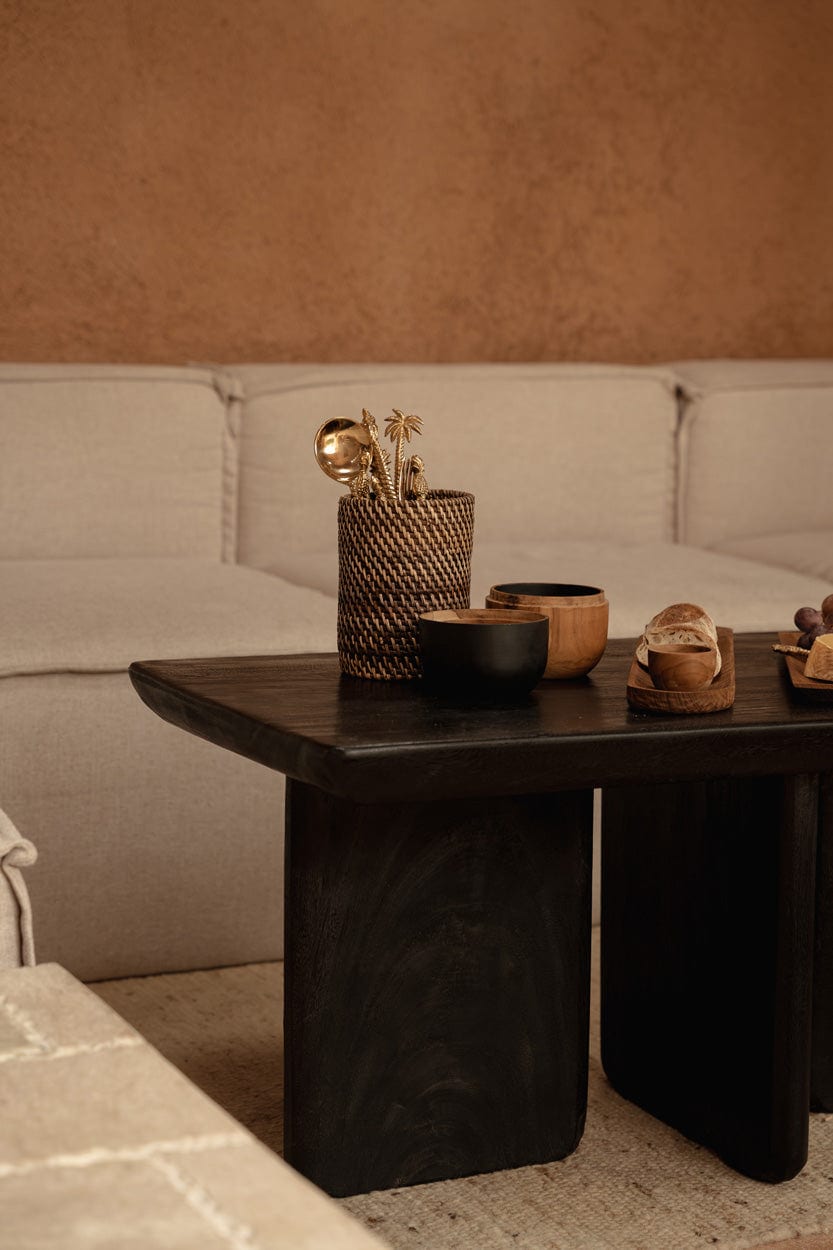 Table basse rectangulaire en bois de manguier massif noir 100x50x45cm Obsidian - Bazar Bizar — vue 3