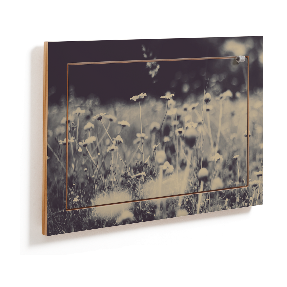 Étagère murale en bouleau noir 40x31x60cm Fläpps Wild and Free - Ambivalenz — vue 5