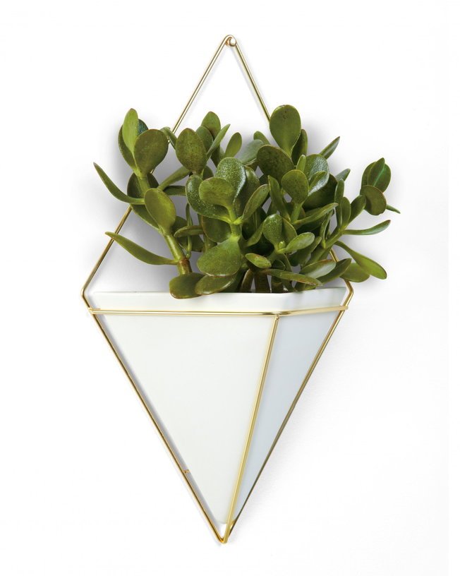 Support de plante mural Vessel - Umbra - The Cool Republic
