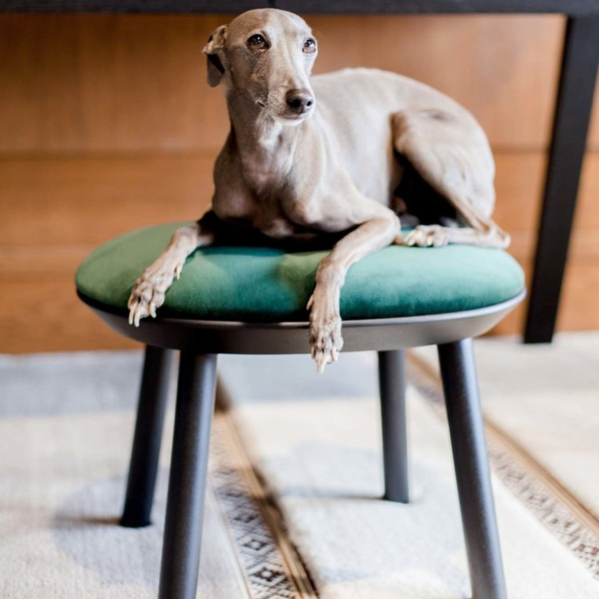 Tabouret en velours noir Naïve - Emko - The Cool Republic