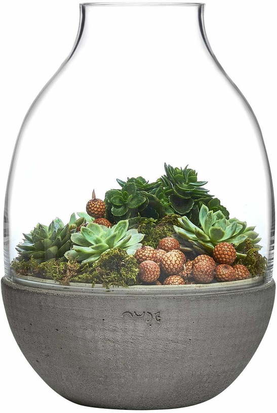 Terrarium Eden transparent avec base en béton moulé - Nude Glass - The Cool Republic