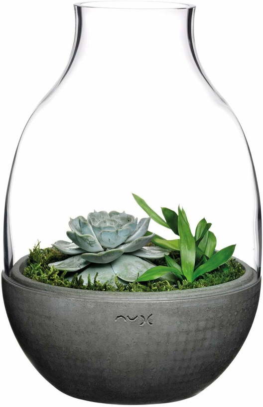 Terrarium Eden transparent avec base en béton moulé - Nude Glass - The Cool Republic