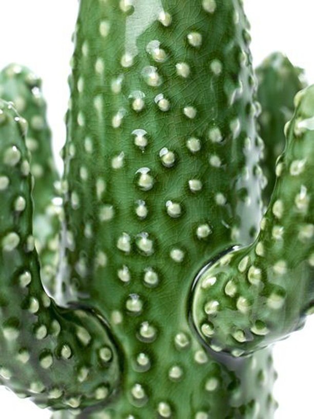 Vase Cactus L - Serax - The Cool Republic