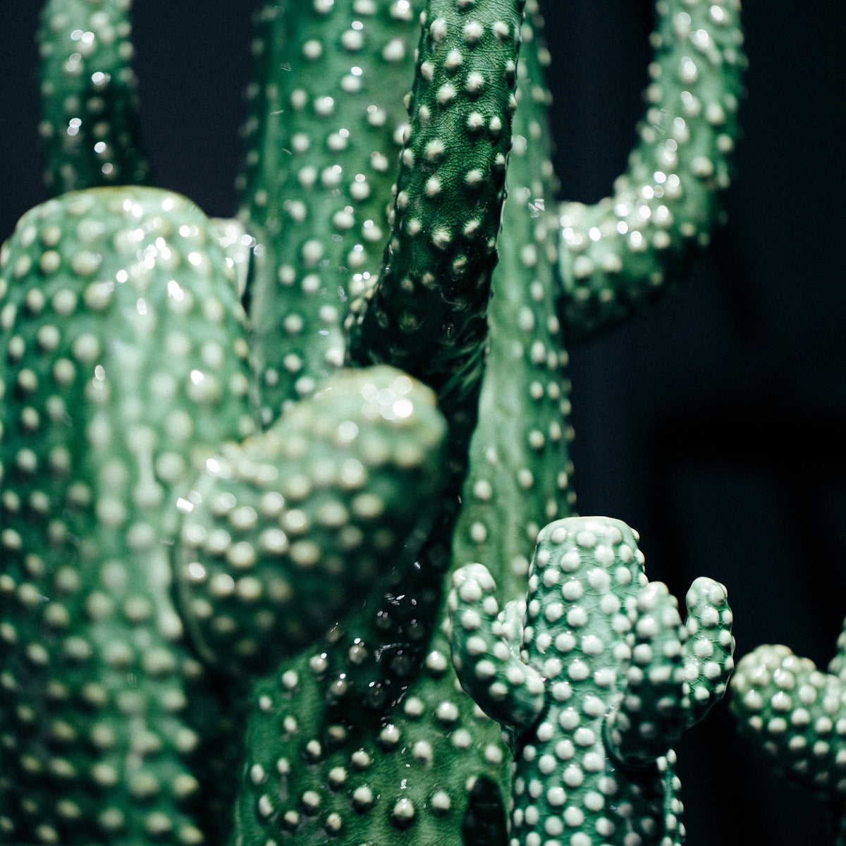 Vase Cactus M - Serax - The Cool Republic