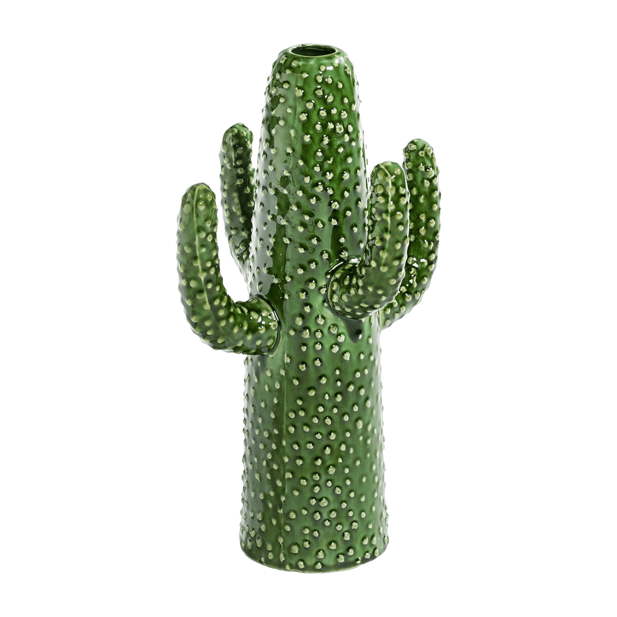 Vase Cactus M - Serax - The Cool Republic
