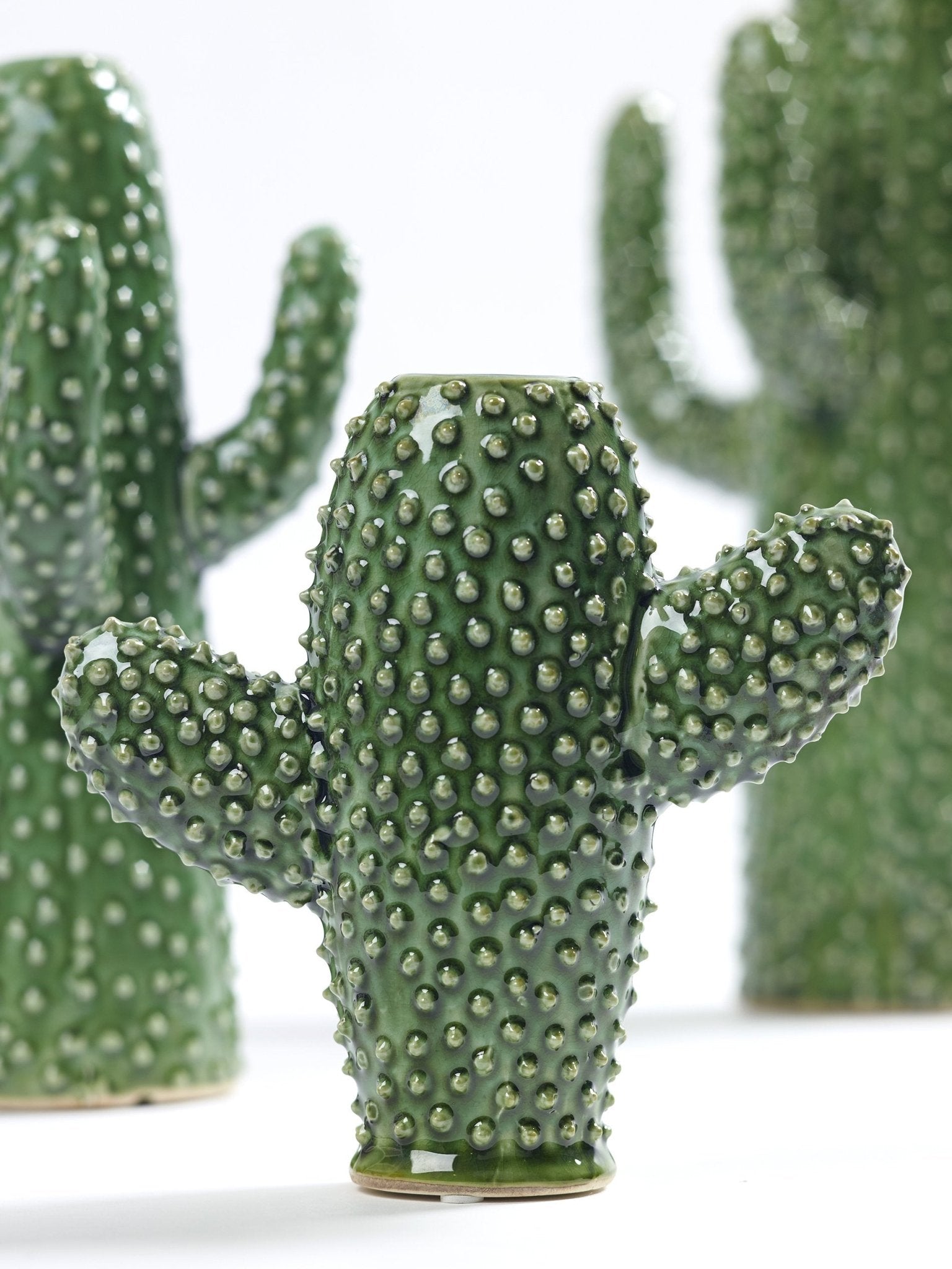 Vase Cactus S - Serax - The Cool Republic