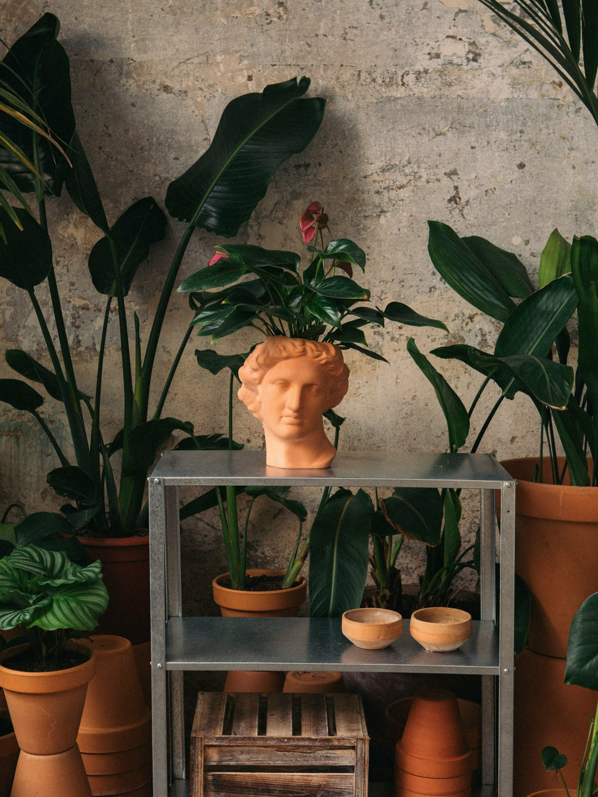 Vase in terracotta Apollo ceramic - DOIY - The Cool Republic