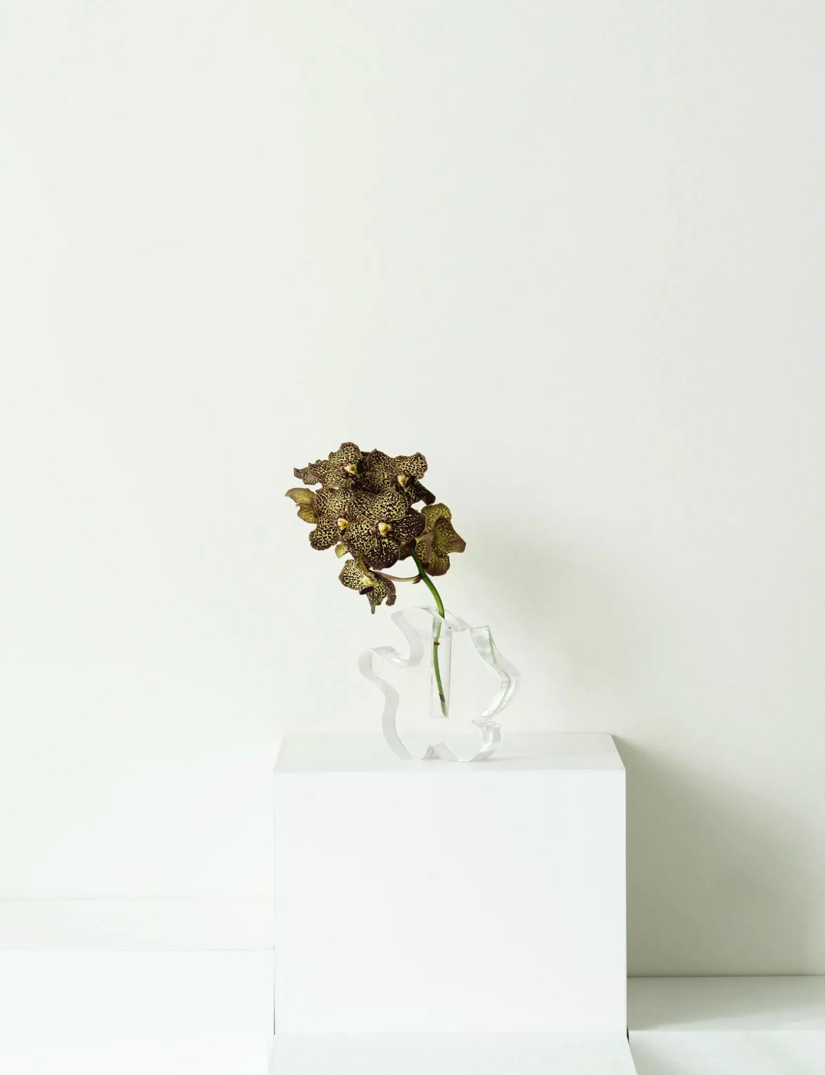 Vase en résine transparente 18x6x17cm Draw - Normann Copenhagen - The Cool Republic