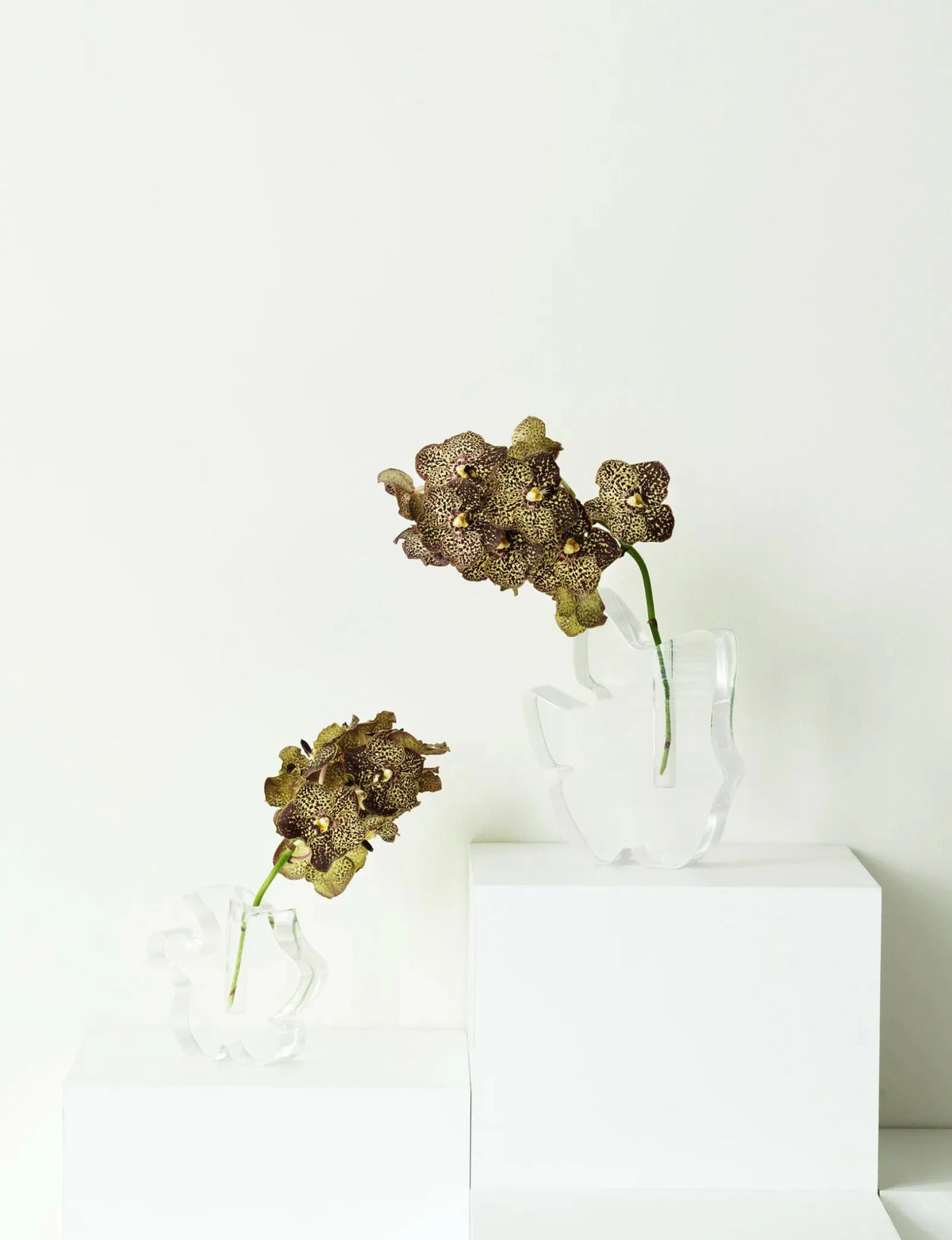 Vase en résine transparente 18x6x17cm Draw - Normann Copenhagen - The Cool Republic