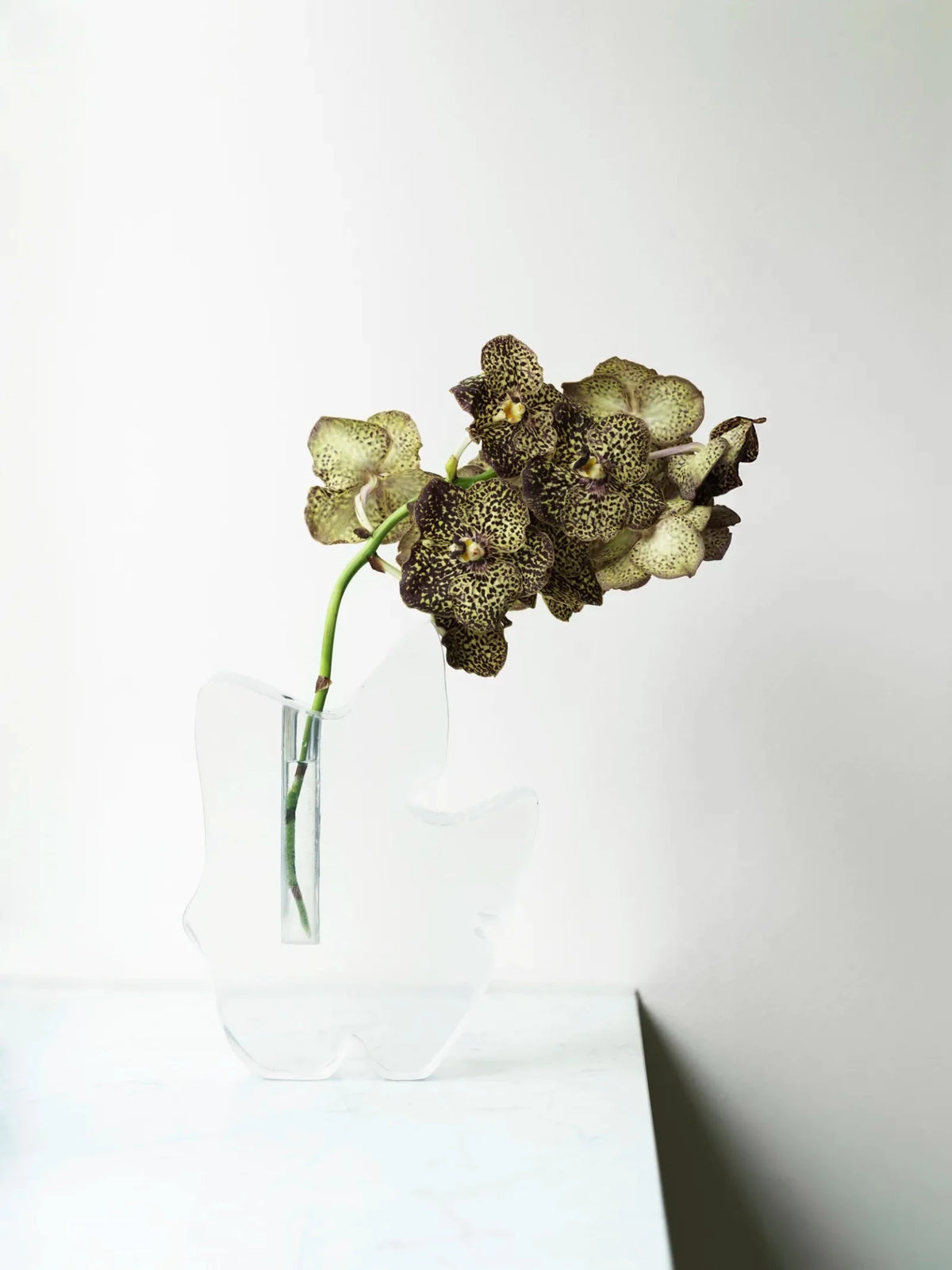 Vase en résine transparente 22x8x28cm Draw - Normann Copenhagen - The Cool Republic