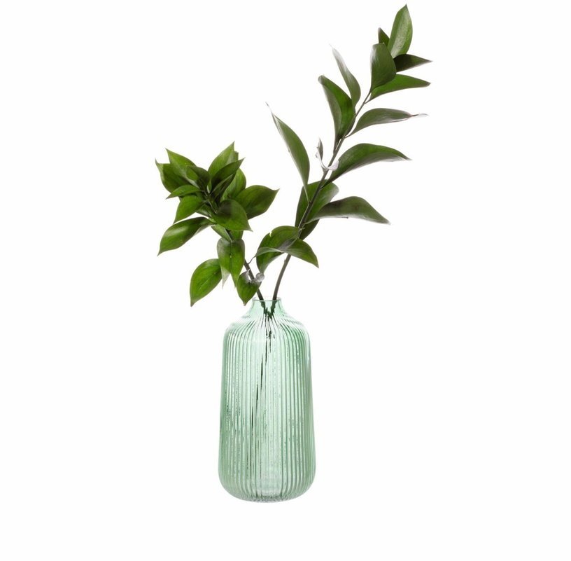 Vase en verre côtelé vert 21,5 cm - Sass & Belle - The Cool Republic