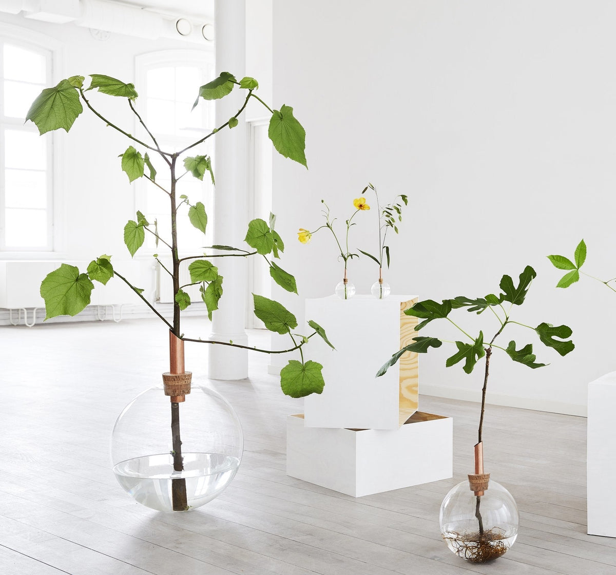 Vase Glasilium en verre transparent 38 cm - Scandinavia Form - The Cool Republic