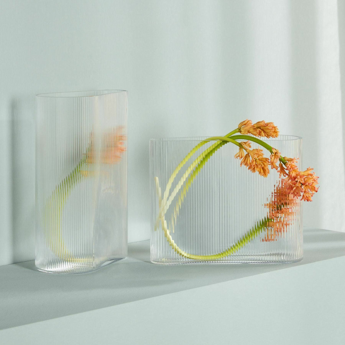Mist Vase Clear Wide - Nude Glass - The Cool Republic