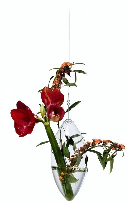 Vase suspendu en verre soufflé Paresseux - Tsé & Tsé - The Cool Republic