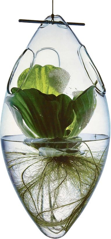 Vase suspendu en verre soufflé Paresseux - Tsé & Tsé - The Cool Republic